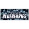 Signmission FRESH BLUEBERRIES BANNER SIGN fruit stand cart signs produce farmers B-120 Fresh Blue Berries - alternate 1